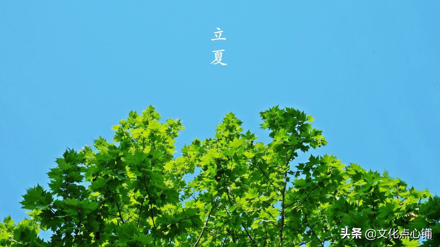流年未亡，初夏已至，50句唯美古诗词，道尽最美的夏日时光