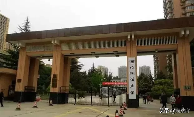 就业丨西北政法大学2019届毕业生就业情况