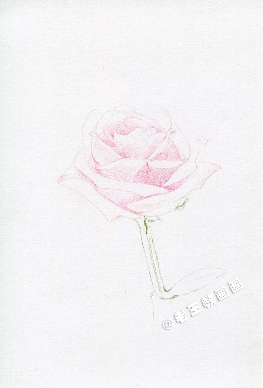 老王手把手教你画彩铅玫瑰花，比真花好看100倍！