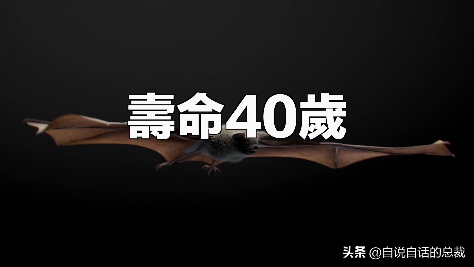 埃博拉：人类的诅咒，你的身体如何对抗它，它到底有多恐怖