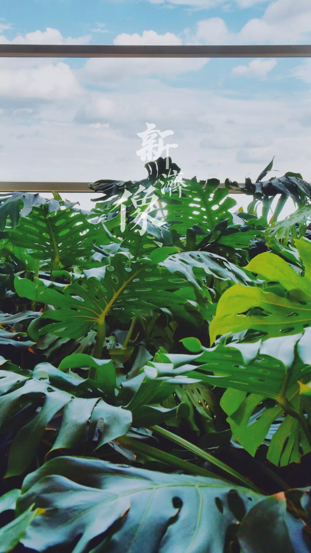 中国这10所大学壁纸第二期！厦门大学、中山大学等在列