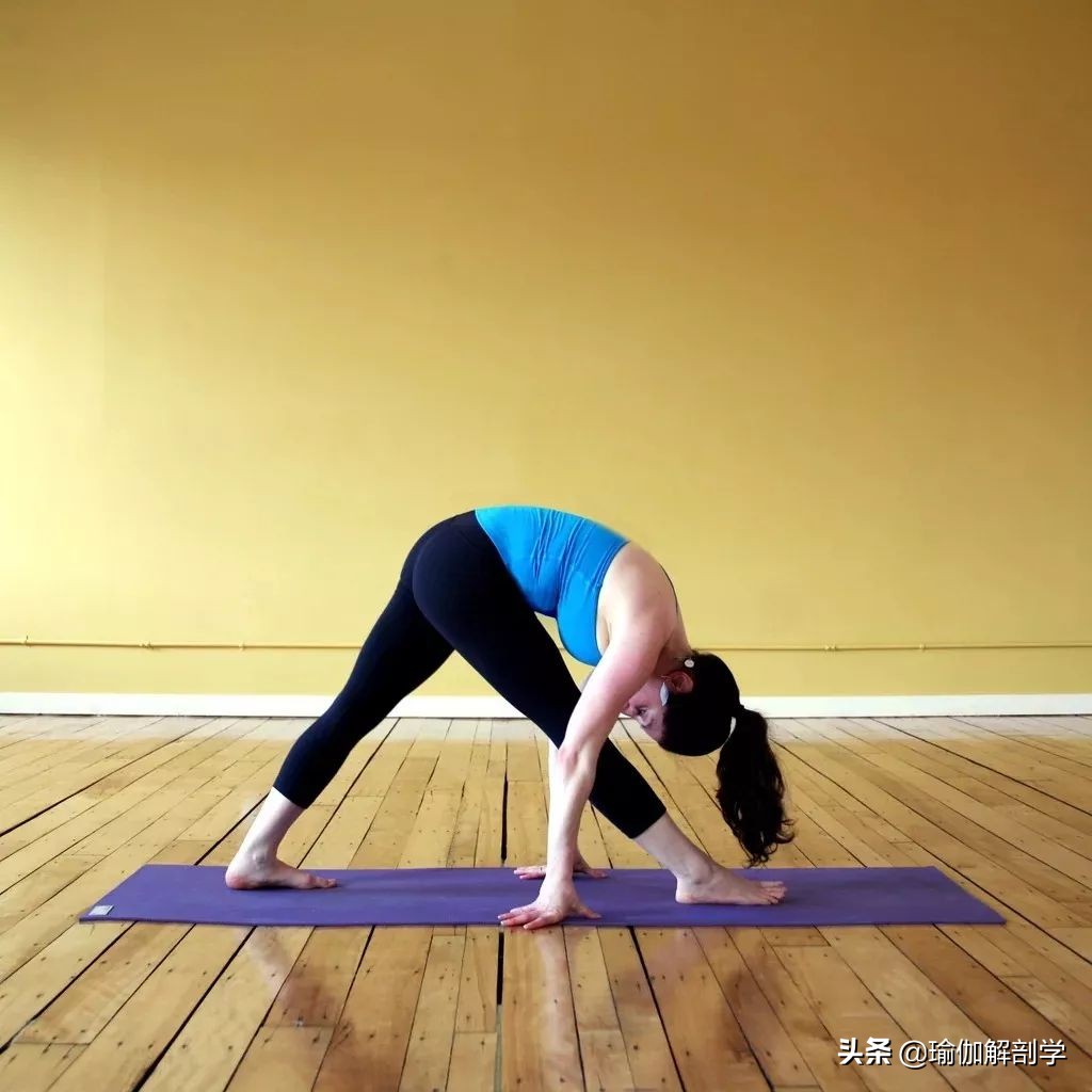 20个基础瑜伽体式练习方法及功效，最适合瑜伽初学者！