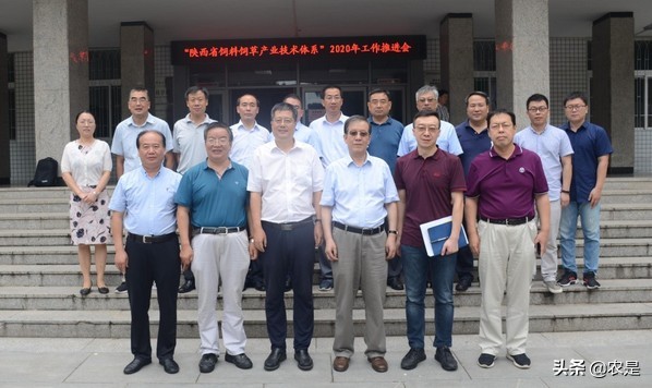 王锋，教授，博士，南京农业大学，国内克隆羊领军人物