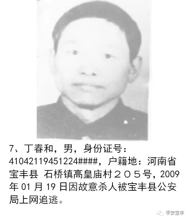 网上逃犯,网上逃犯名单查询系统