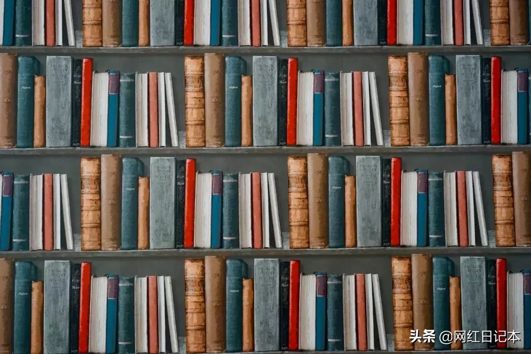 小说分销：年入百万的暴利项目