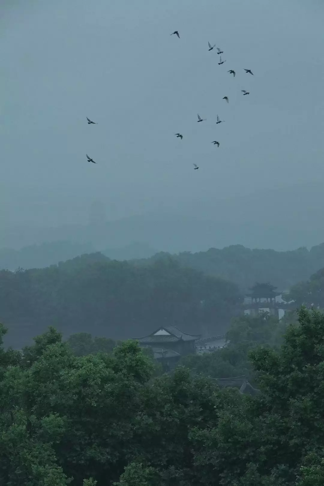 白露：露从今夜白，等待月明人团圆