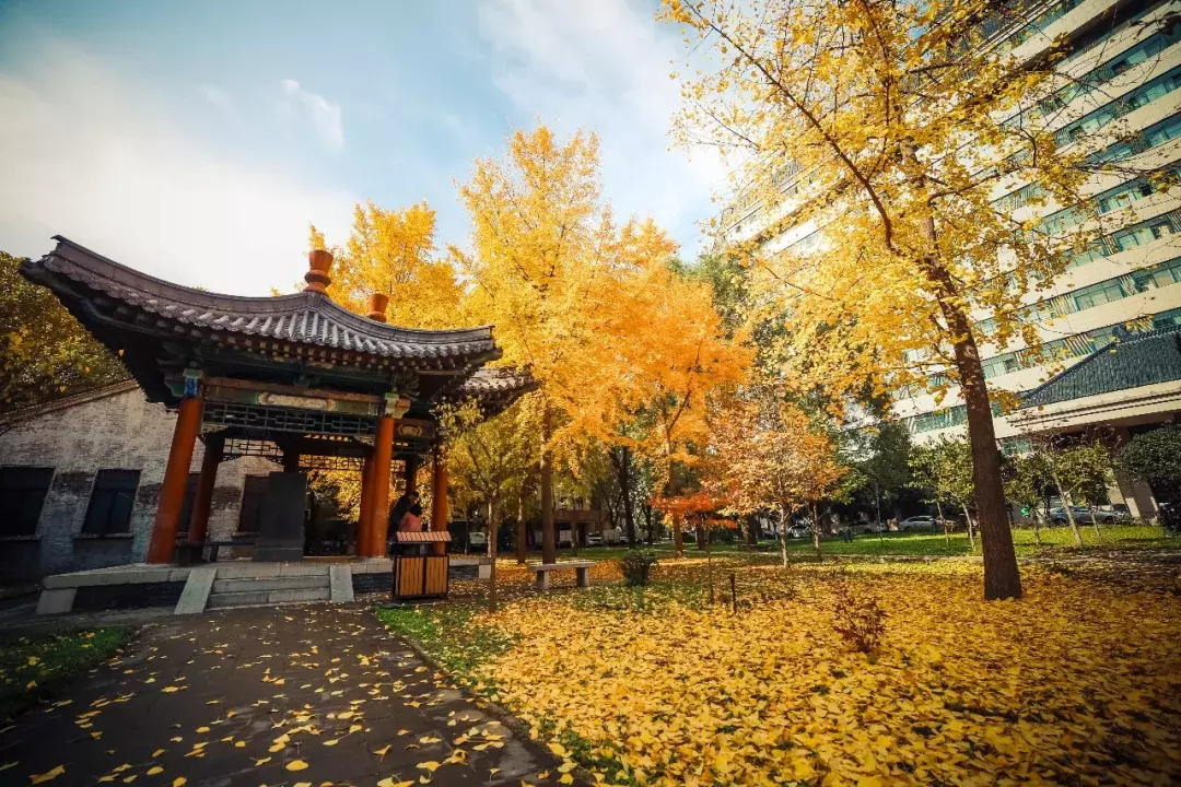 權(quán)威發(fā)布：西北大學(xué)2020年碩士研究生報考說明&考試招生專業(yè)目錄