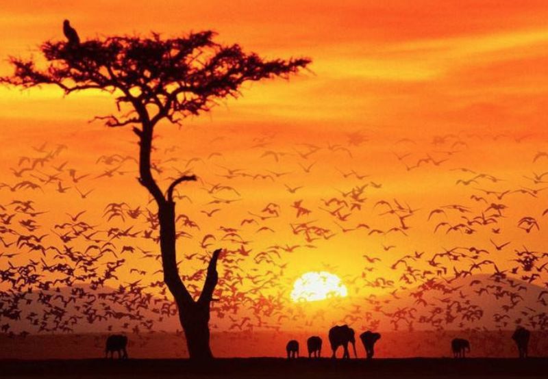 15道民航高考题，你答得出吗？