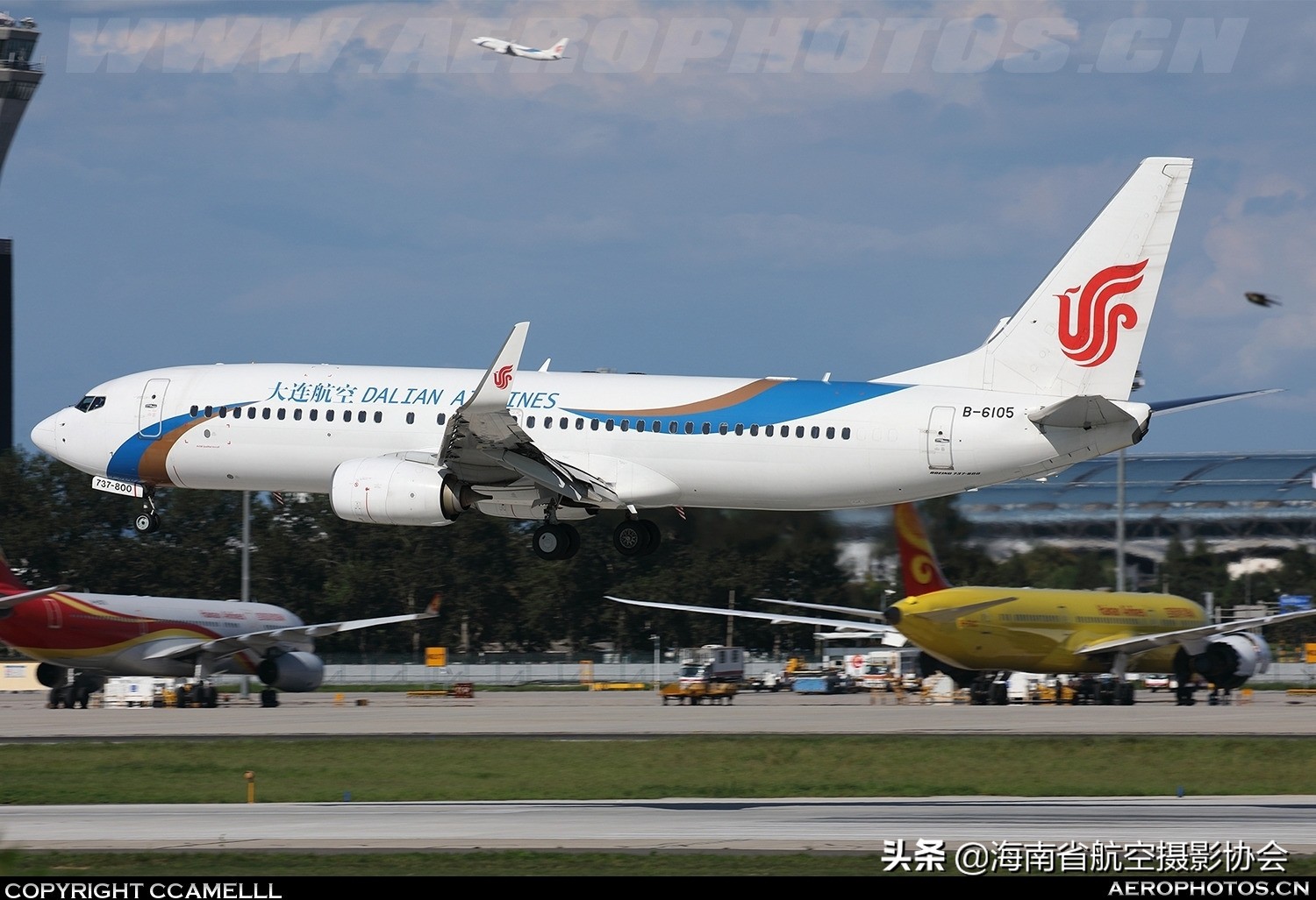 标涂 boeing 737-800 b-5729@1219qiuda 摄)大连航空响箭的"中文