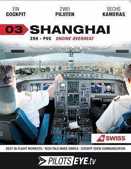 飞行员之眼：上海在线观看