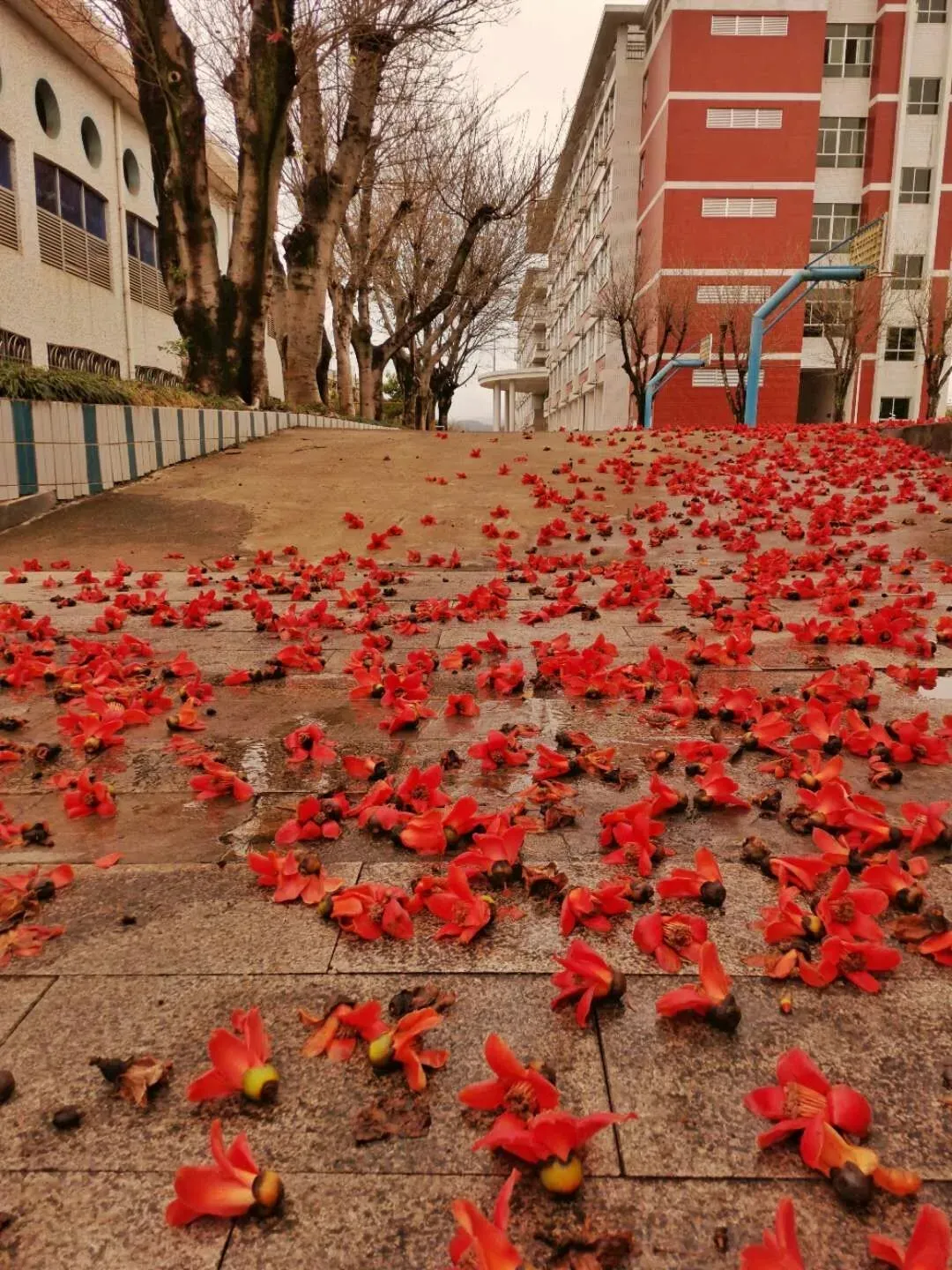 就读中职类学校，前途在哪里？