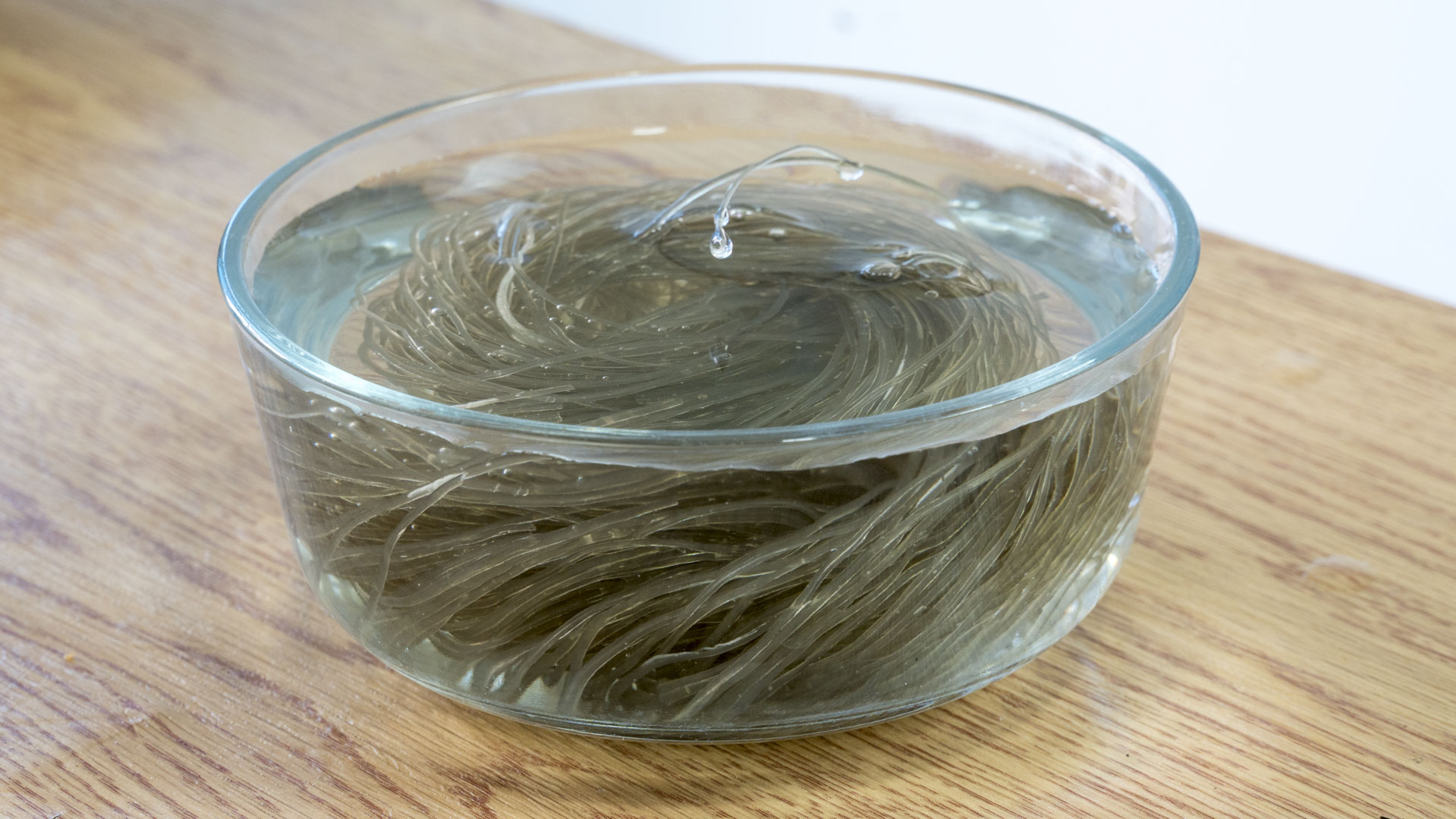 数九寒天，以“暖”为先，分享10道家常炖菜，从头暖到脚，不怕冷