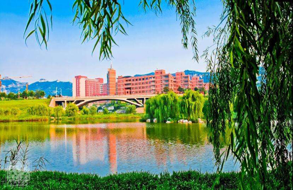 山东大学2019年录取分数线