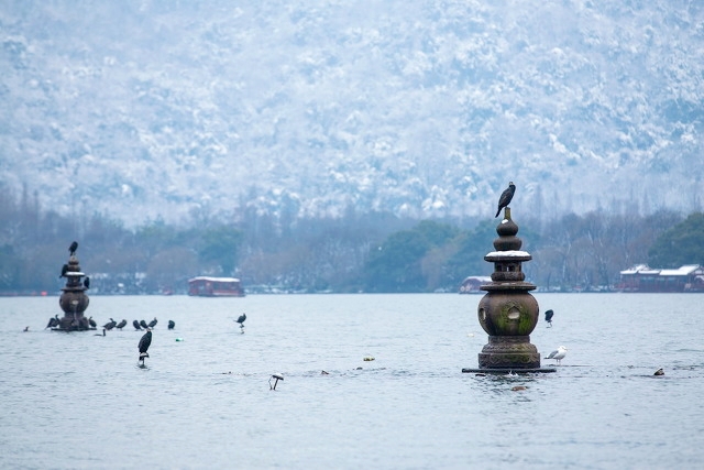 杭州旅游景点有哪些景点？杭州旅游十大必去打卡景点推荐-第13张图片