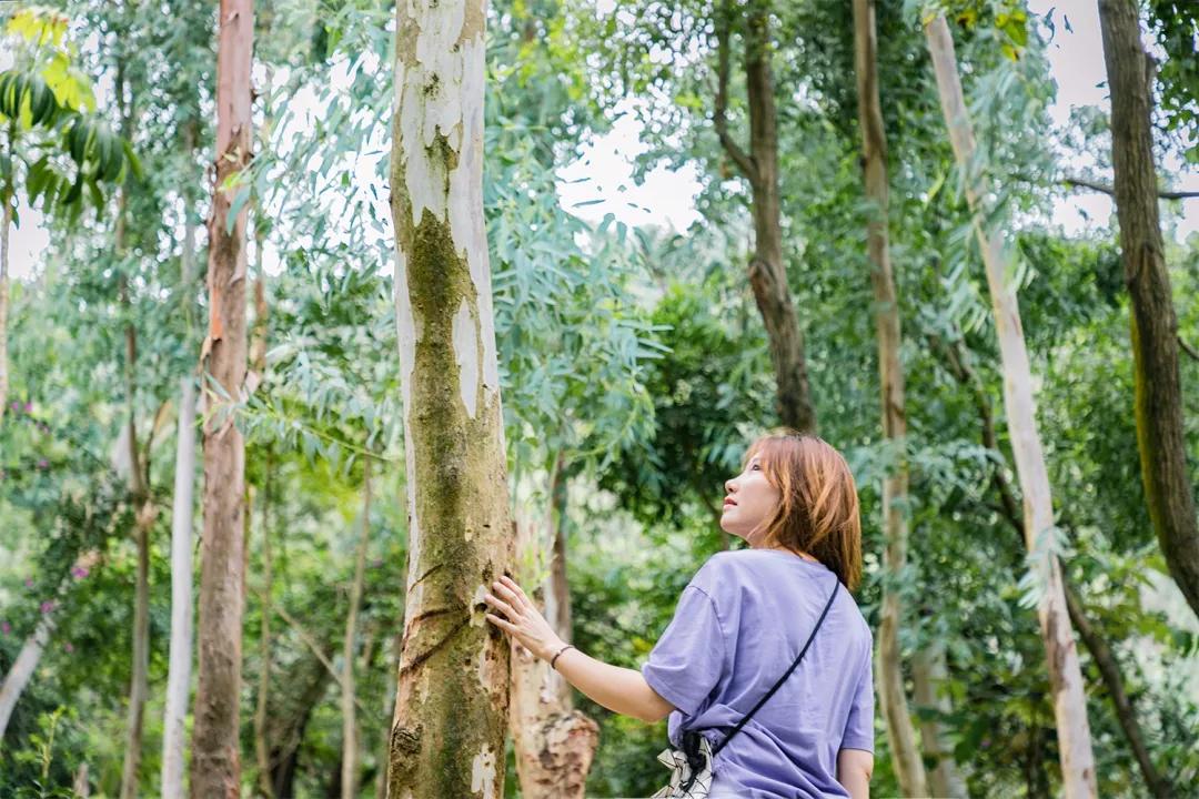 深圳值得征服的10座山，你去过几座？