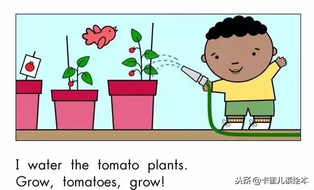 「英文有声绘本」蔬菜，快快长大《Grow,Vegetables,Grow!》