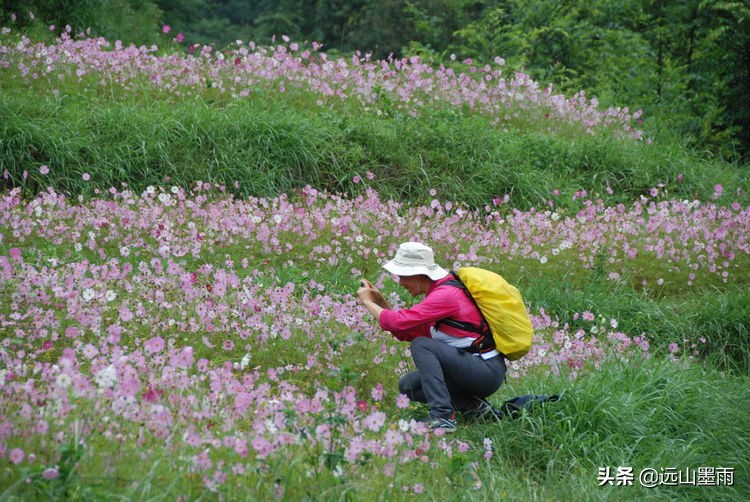 一片五彩稻田，让深藏山中的核桃箐蜚声昆明，青山、绿水，这都有