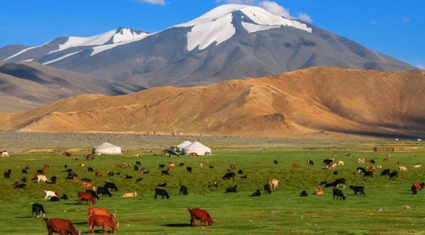外蒙古为什么独立(外蒙古本属中国，为何后来会独立出去呢？来看看罪魁祸首到底是谁)