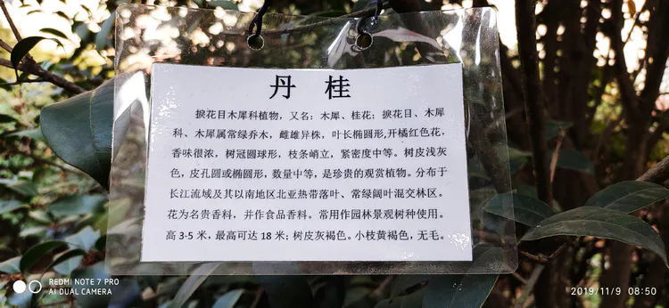 陪你一起看湖北省广水一中①——走进植物王国