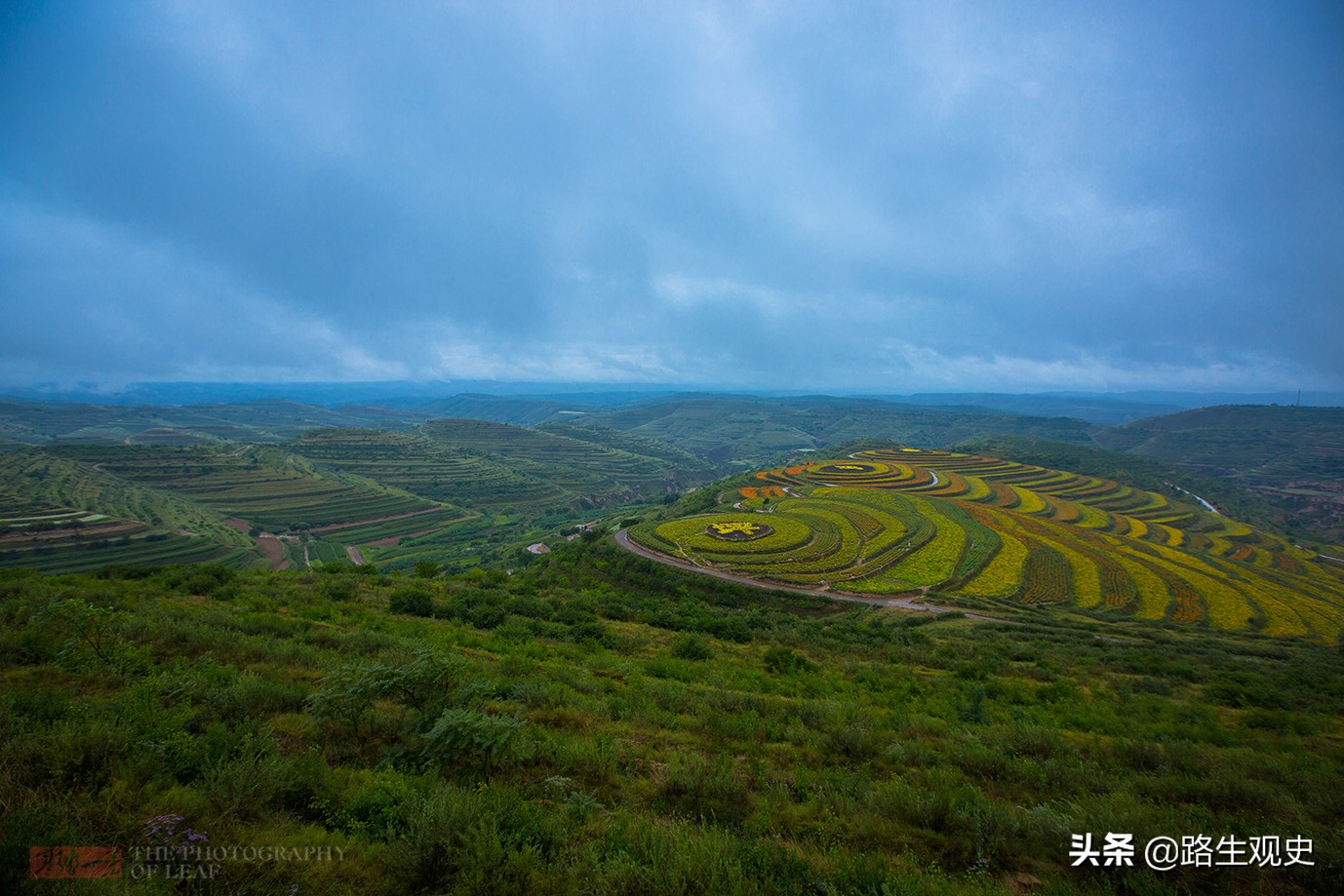 古墓丽影：在宁夏，人们曾经发现两具拥抱在一起的残骸，一男一女