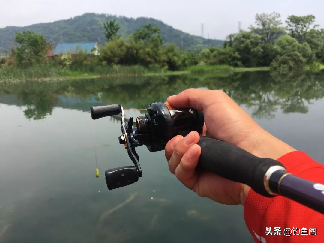 路亞黑魚,