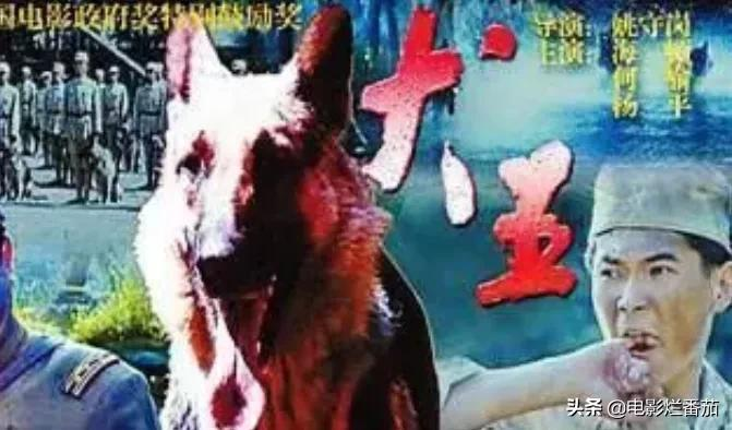 2.2分《犬王》为戏炸死功勋军犬，导演引起公愤遭网友打出超低分