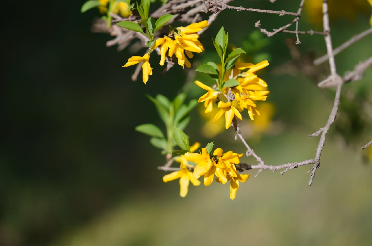 惊艳眼球！最近，陕西高校“最美校花”高清大图曝光