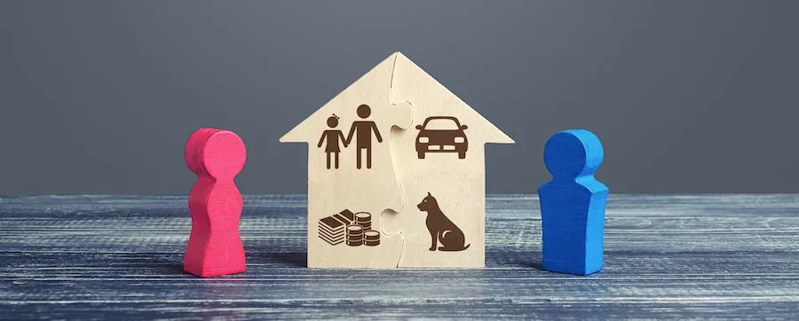 离婚女律师（涨姿势）