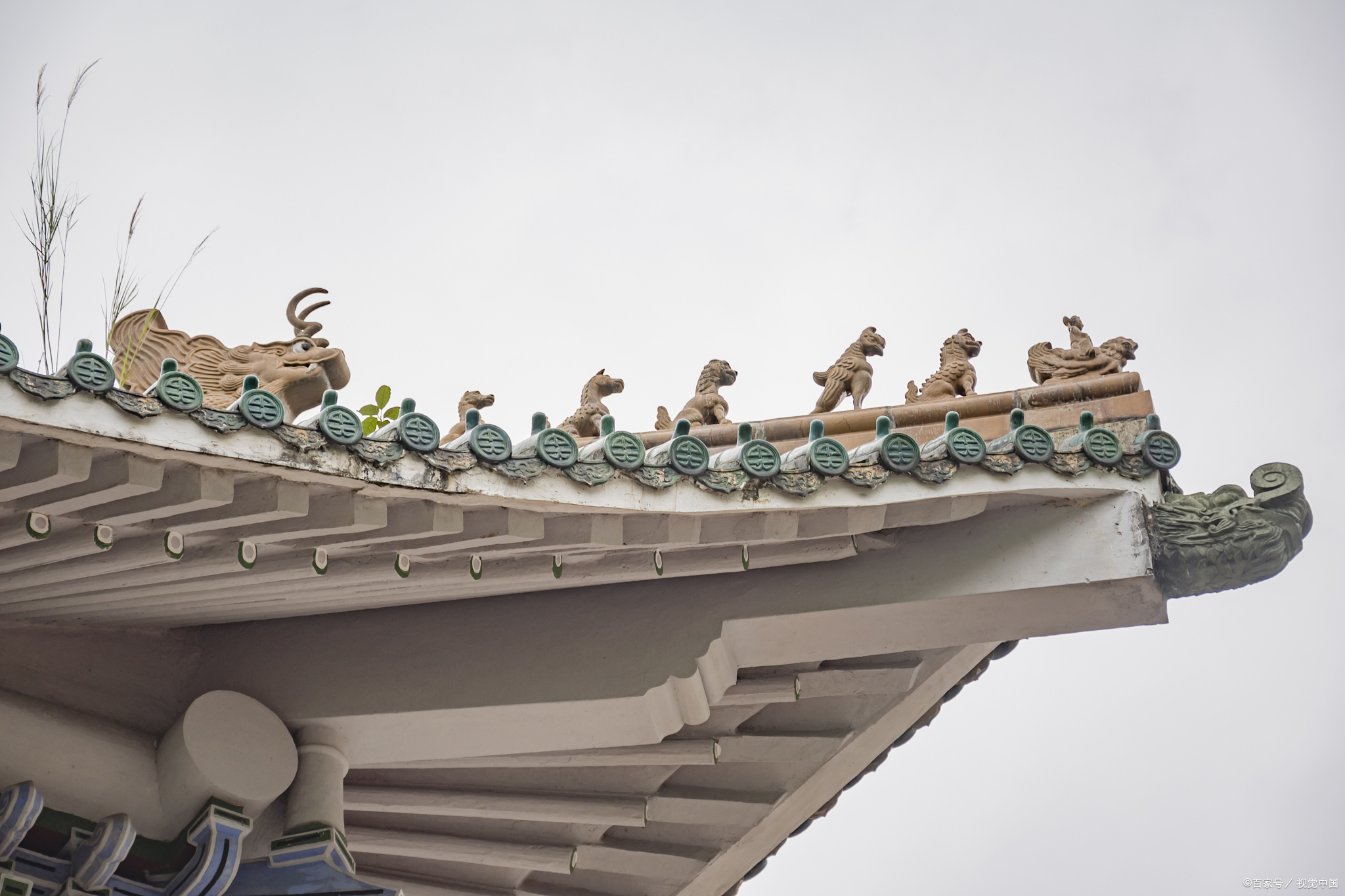 考研人请注意！这所985又双叒叕缩招了！「建议收藏」