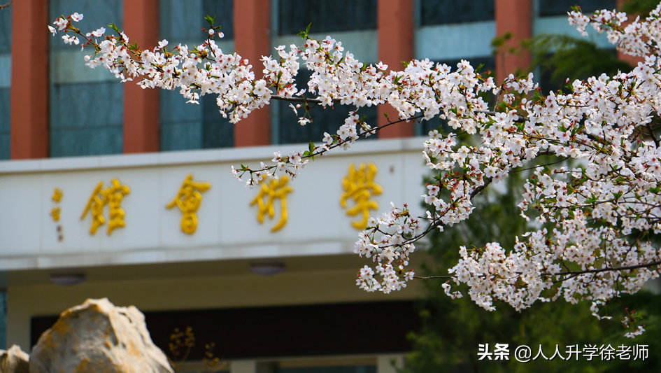 承认联考成绩的83所院校来了，艺术生必看