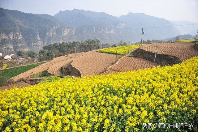 农村土地有偿永久性退出试点村，一亩承包地给3万，你愿意退吗？