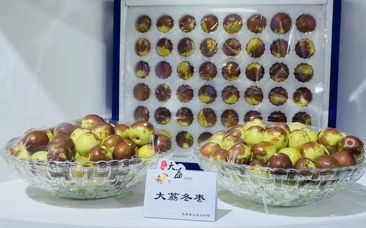 西部网聚焦农高会 | 第28届中国杨凌农高会今日开幕 大荔展区引人注目
