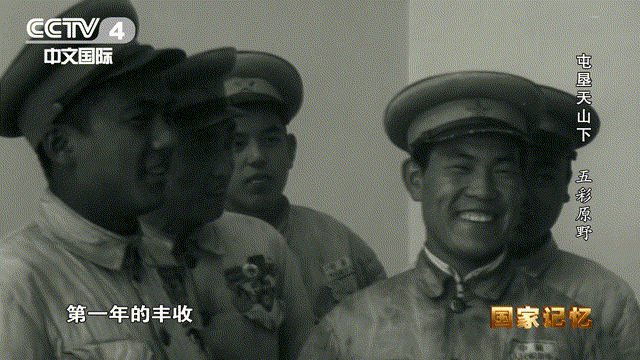 17位老人在宾馆地毯上睡了一夜，他们是谁？