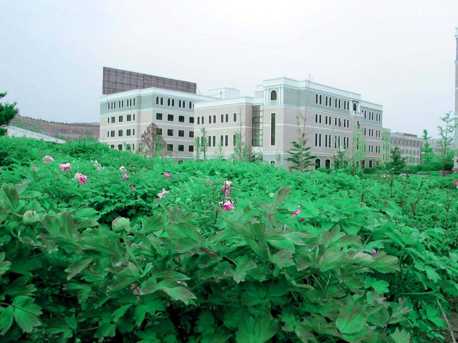 高考只能上专科，可以看看这几所电力院校，容易找工作。