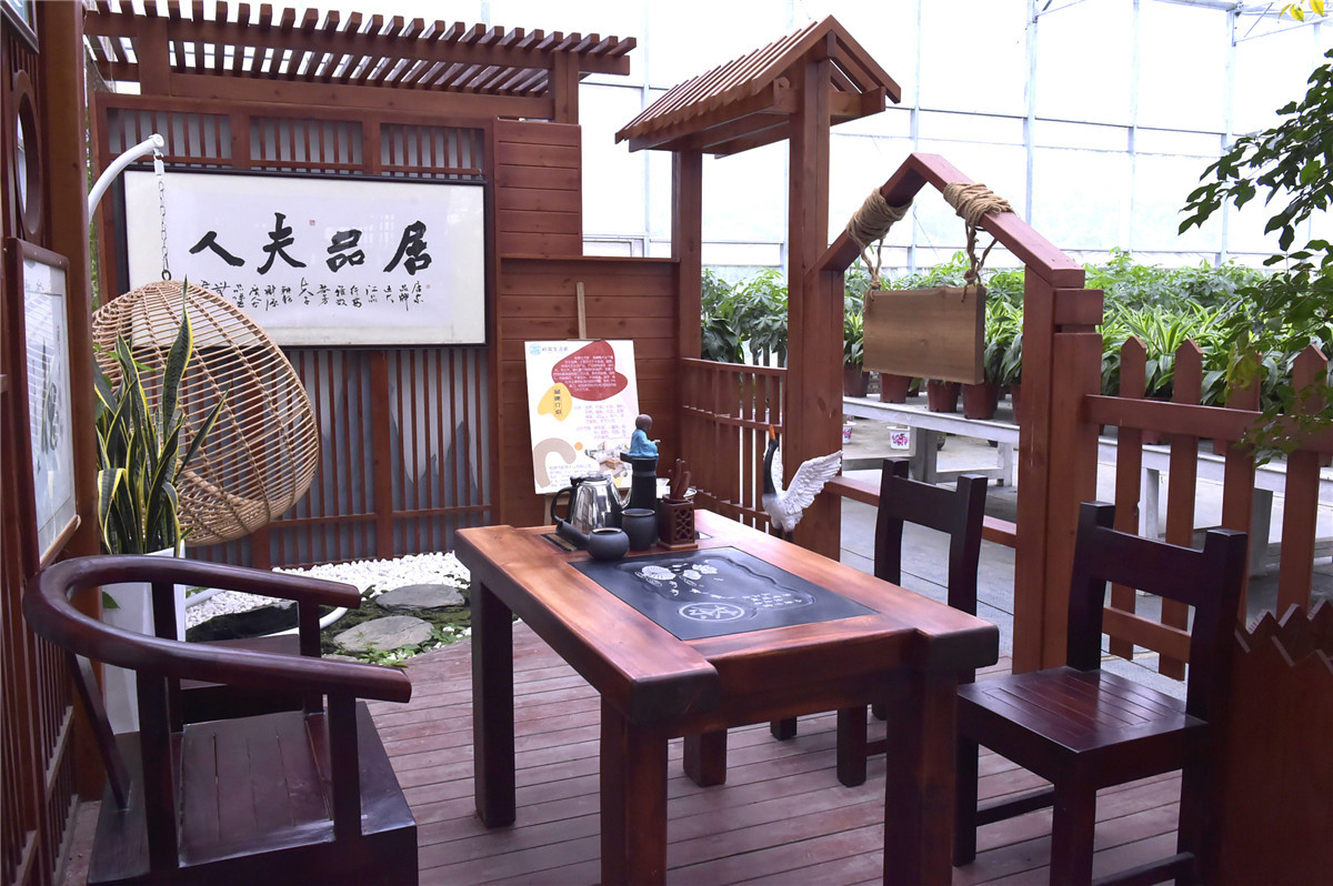 桂林:琳琅满目五彩缤纷的花卉超市