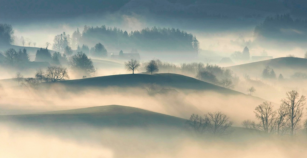 自然之美：风霜高洁，秋天的霜、露、雾