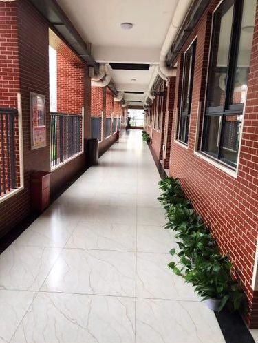 武汉这4所“撞脸”小学名字相似，实力却天差地别