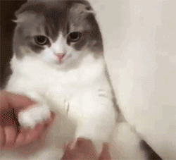 2020版最新法官、检察官表情大全！哈哈哈