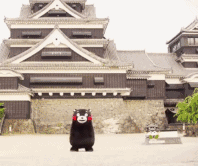 最长放43天！苏州中小学、高校寒假时间表来啦~