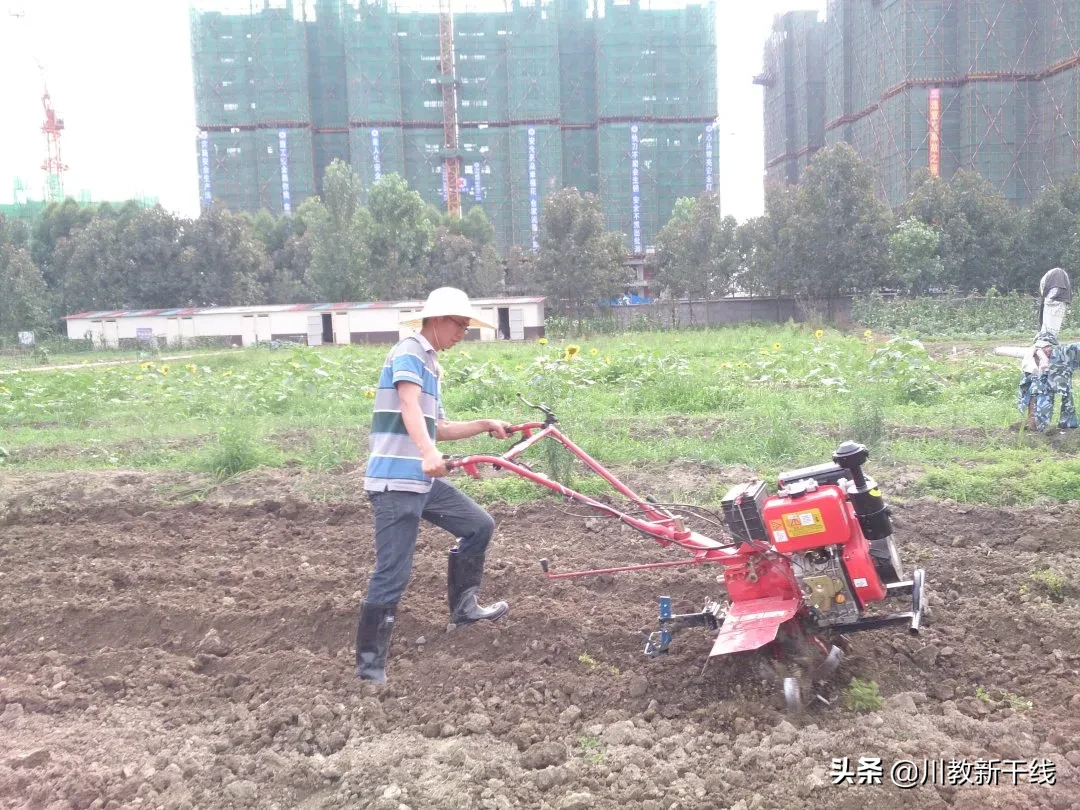 邓忠君：扎根四川大学锦城学院学生农场的“现代农夫”