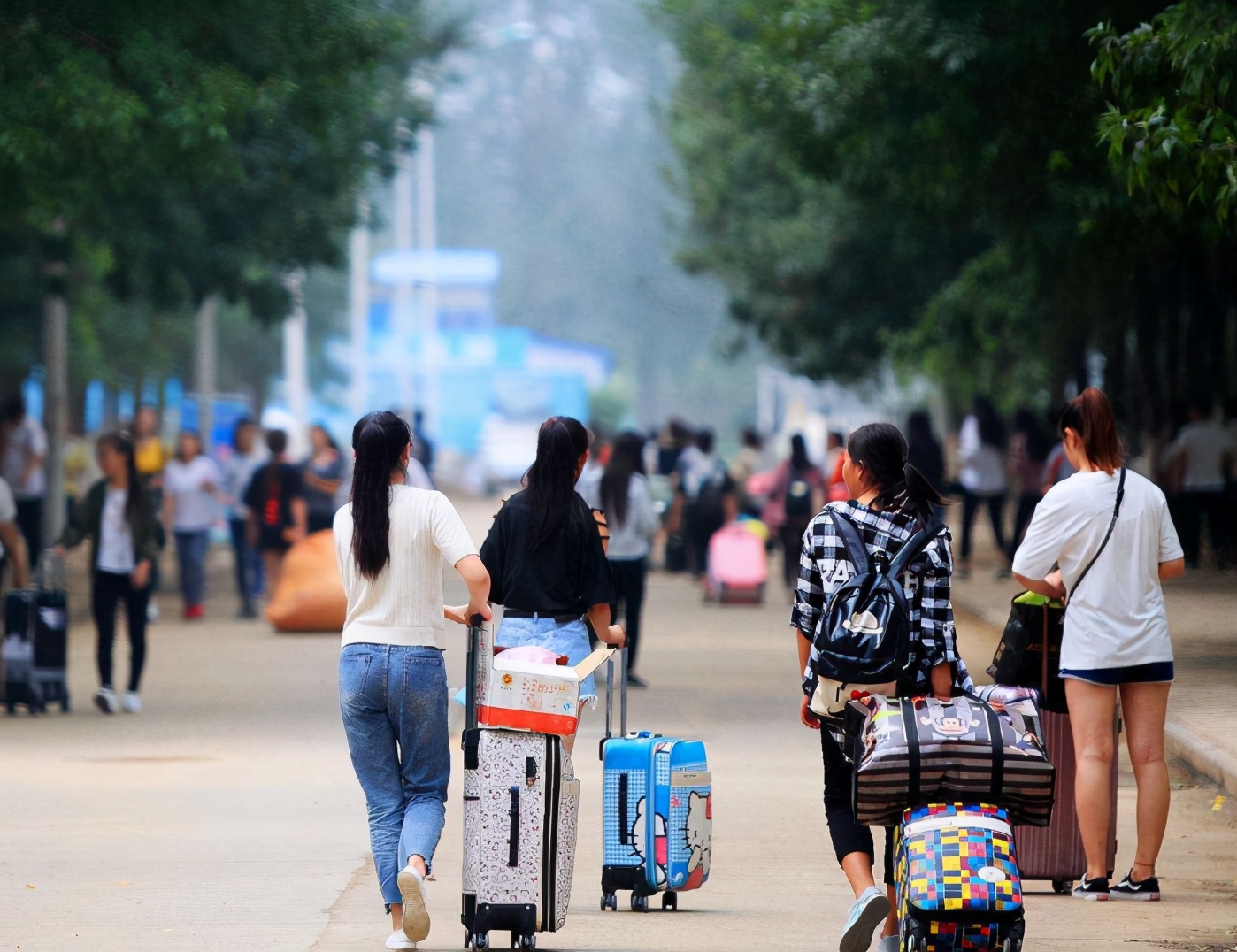 江苏省4所“野鸡大学”被曝光，毕业证如废纸，考生家长需谨慎