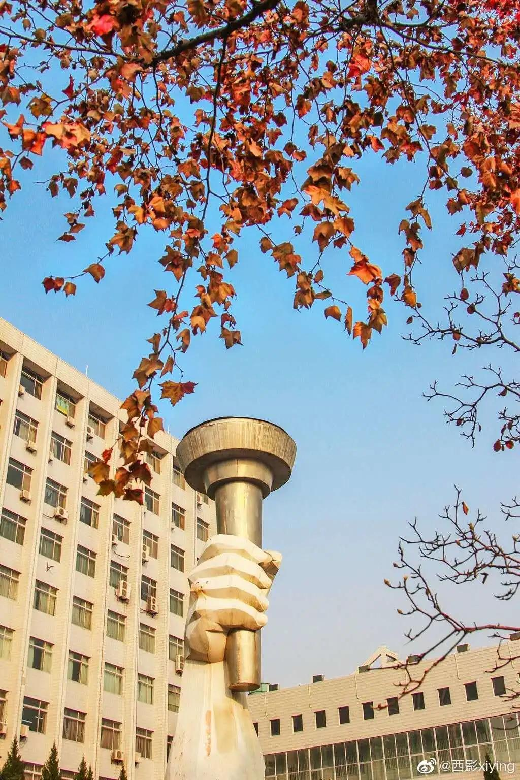 新增20个!西安交大40个专业获批国家级一流本科专业建设点