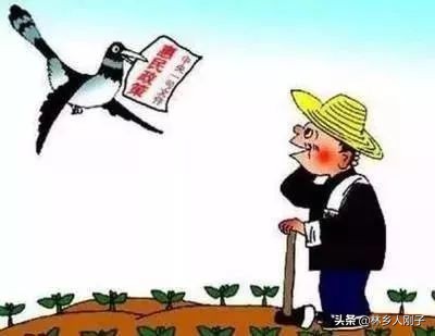農(nóng)業(yè)補(bǔ)貼找哪個(gè)部門(mén)申報(bào)最靠譜？