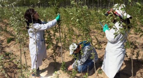 火了！北京这所大学频频登上中央电视台，研究成果在全世界发行！