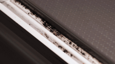 实测5款“网红”家居清洁用品，看过这些缺点，你再决定是否入手