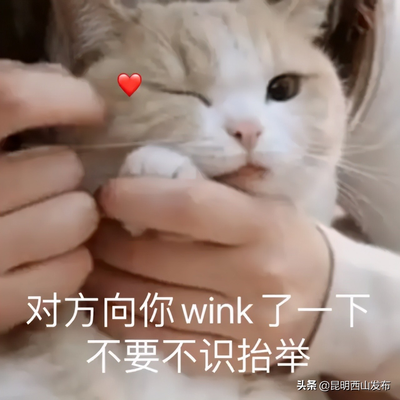 让我们考虑一下母亲节的礼物吧（送给妈妈的礼物实用）