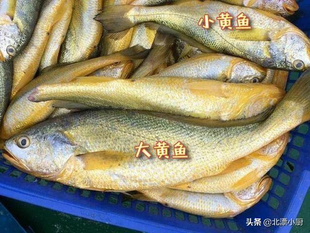 买鱼时,会吃的人专挑"7种海鱼",无法人工养殖,纯野生肉质鲜
