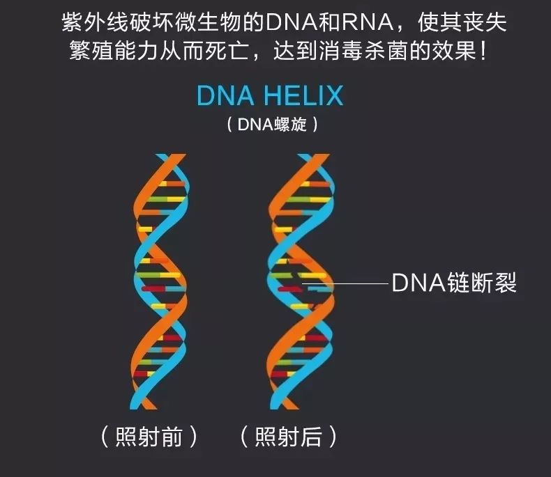 厨房有必要安装消毒柜吗？注意这3个“误区”，生活舒适又安心