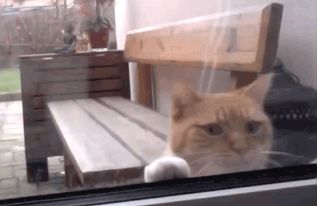 2020版最新法官、检察官表情大全！哈哈哈