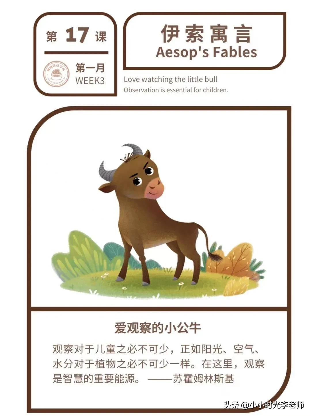 三头公牛和狮子读后感摘录66句
